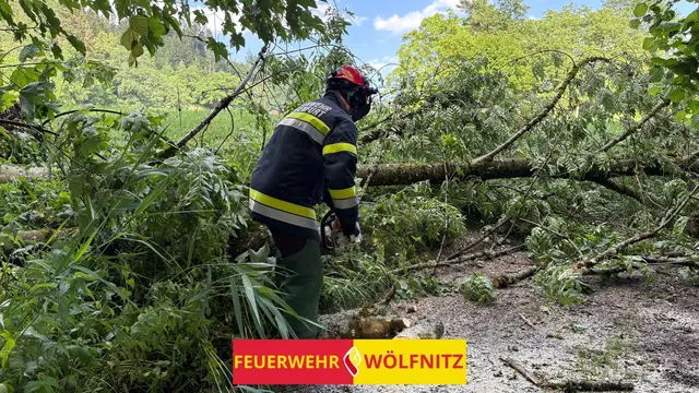 Foto: Freiwillige Feuerwehr Wölfnitz/Klagenfurt