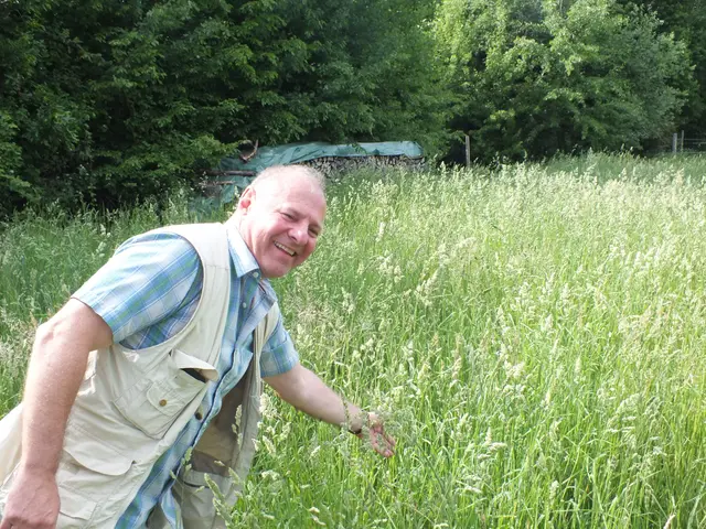 Jagdleiter Michael Kefeder zeigt ideale Stellen im hohen Gras, in dem sich Rehkitze verstecken könnten.  | Foto: Alena Kulman