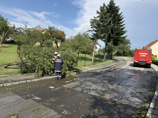 Die Feuerwehr St. Michael musste zu zahlreichen Einsatzorten ausrücken. | Foto: Bezirksfeuerwehrkommando Güssing