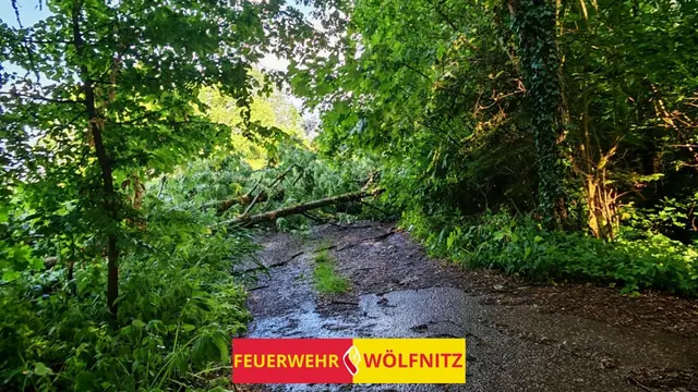 Foto: Freiwillige Feuerwehr Wölfnitz/Klagenfurt
