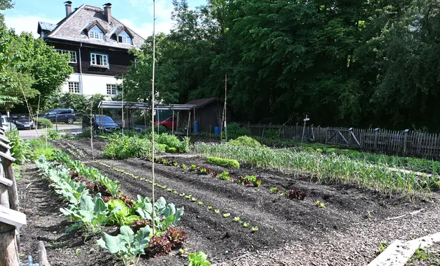 Das Reich der "Stadtwurzler" mit Forsthaus. | Foto: Josef Wind