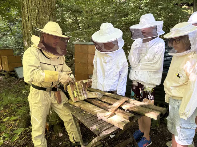 So nah kommt man einem Bienenvolk nur selten.  | Foto: Stefan Schneider/MeinBezirk