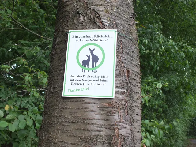 Foto: Alena Kulman