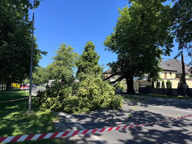 Die Straße ist bis zum Abschluss der Aufräumarbeiten gesperrt.  | Foto: Berufsfeuerwehr Klagenfurt am Wörthersee