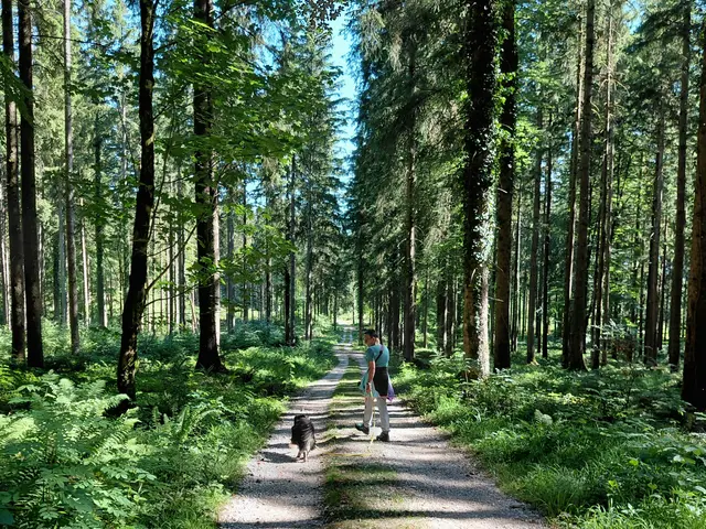 Foto: H.Bachinger