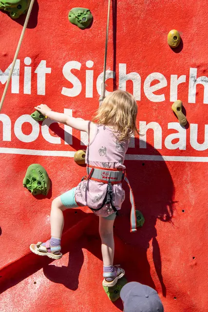 Foto: ffmoedling.at