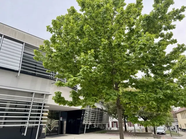 Gleisdorf soll noch grüner werden. | Foto: Stadtmarketing 