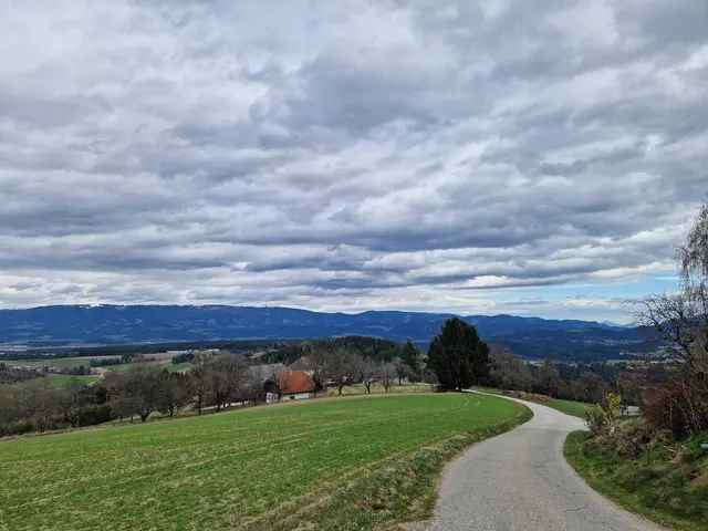 In der Nacht auf 3. Juni dieses Jahres setzt starker Regen in ganz Kärnten ein. (Symbolfoto) | Foto: MeinBezirk/Lea Kainz