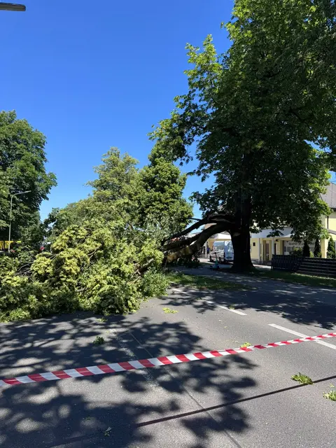 Foto: Berufsfeuerwehr Klagenfurt am Wörthersee