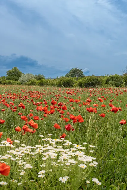 Das sind die schönsten Fotos des Burgenlands