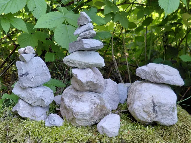 Foto: H.Bachinger