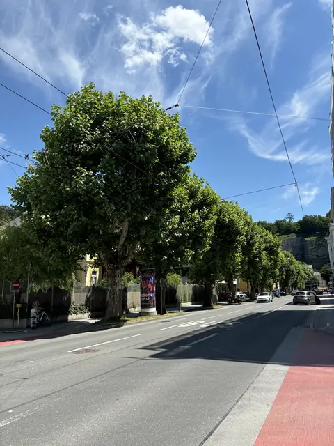 Die Nähe zum Mönchsberg und eine zentrale Lage zeichnen den Stadtteil Riedenburg aus.
 | Foto: Lisa Gold