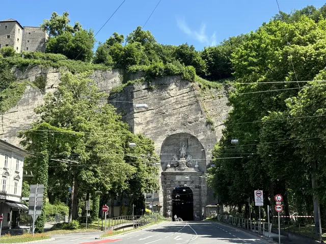 Die Nähe zum Mönchsberg und eine zentrale Lage zeichnen den Stadtteil Riedenburg aus.
 | Foto: Lisa Gold
