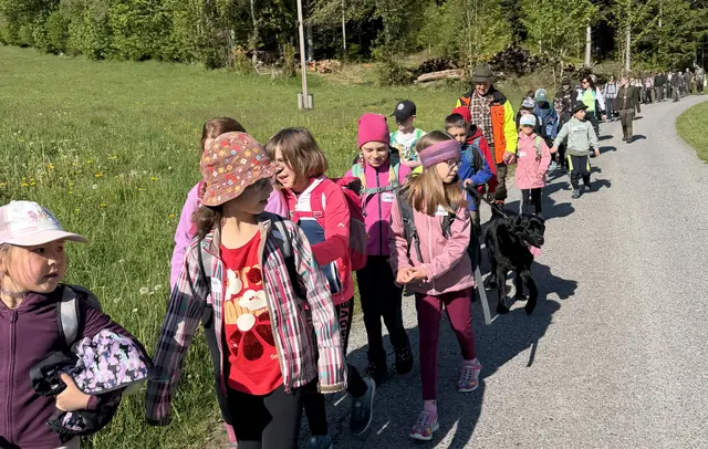Kinder entdecken Natur pur – ein unvergesslicher Erlebnistag im Wald