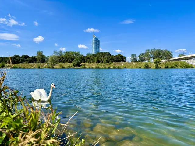 Am Wochenende wird es mit Temperaturen von bis zu 29 Grad wieder frühsommerlich. An den Nachmittagen mischen jedoch auch Gewitter mit. | Foto: Sarah Marie Piskur