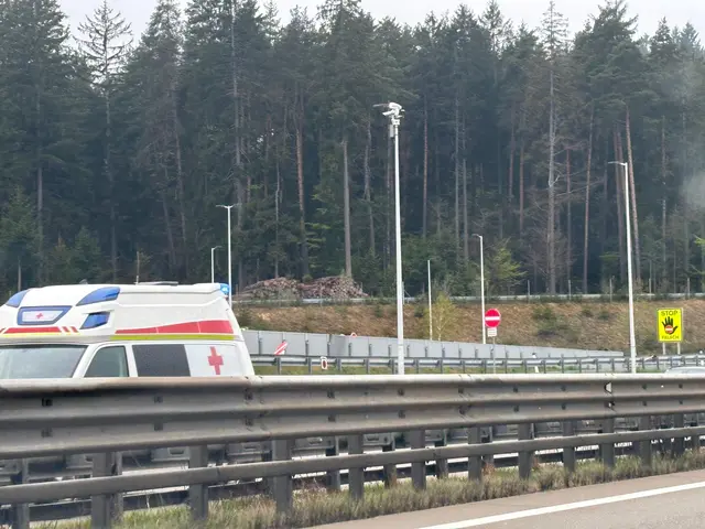 Zwei Unfälle wegen Reifenschäden sind auf der A2 und im Oswaldibergtunnel passiert. (Symbolfoto) | Foto: MeinBezirk/Evelyn Wanz