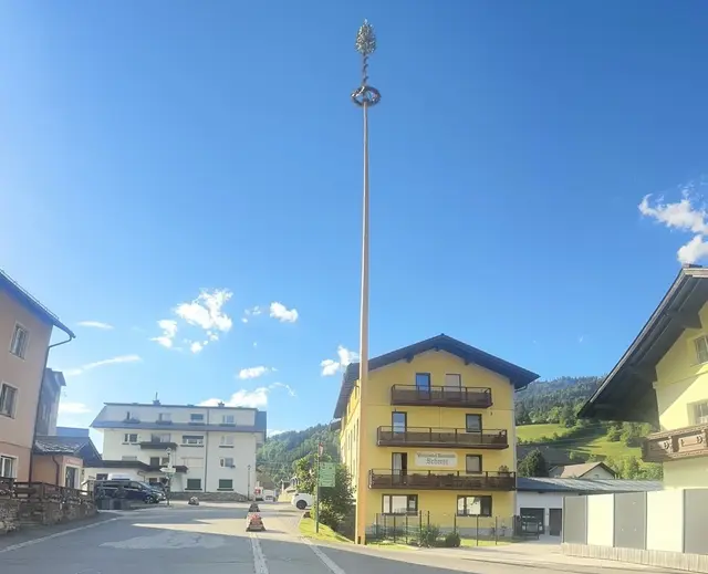 Maibaum in Wald am Schoberpass