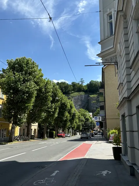 Die Nähe zum Mönchsberg und eine zentrale Lage zeichnen den Stadtteil Riedenburg aus.
 | Foto: Lisa Gold