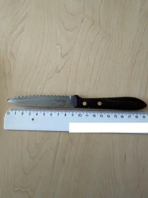 Mit diesem Küchenmesser soll ein 88-Jähriger zunächst Angehörige und dann auch noch Polizeibeamte bedroht haben. | Foto: LPD Wien
