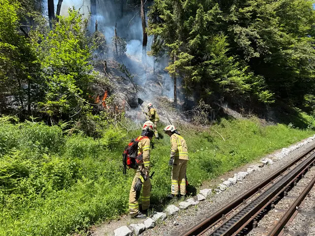 Mehrere Feuerwehren standen am Dienstag bei einem Brand an einem Bahndamm in Wiesing im Einsatz. Die Einsatzkräfte arbeiteten gemeinsam an der Lage vor Ort. | Foto: zoom.tirol