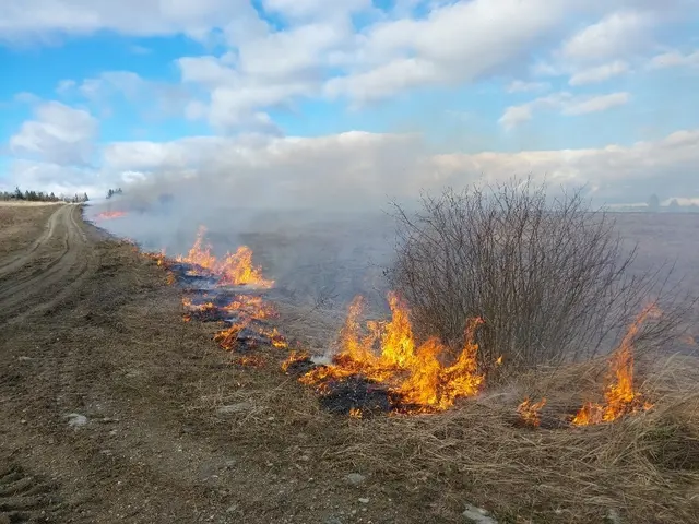 Großalarm bei Wald- und Vegetationsbrand