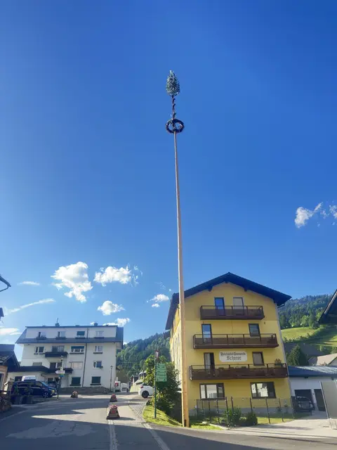 Der Maibaum in Wald am Schoberpass