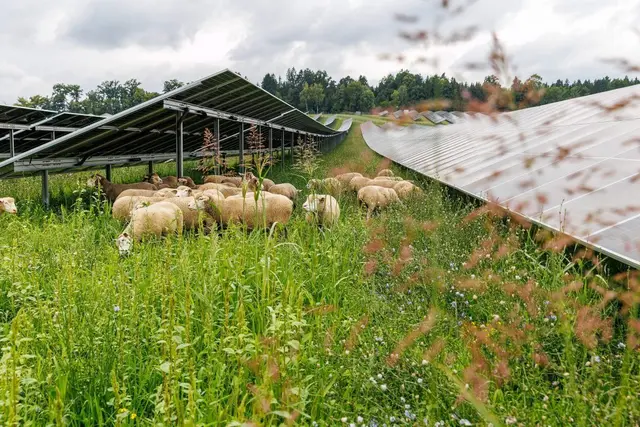 [Anzeige] Ein Tag im Zeichen der steirischen Energie