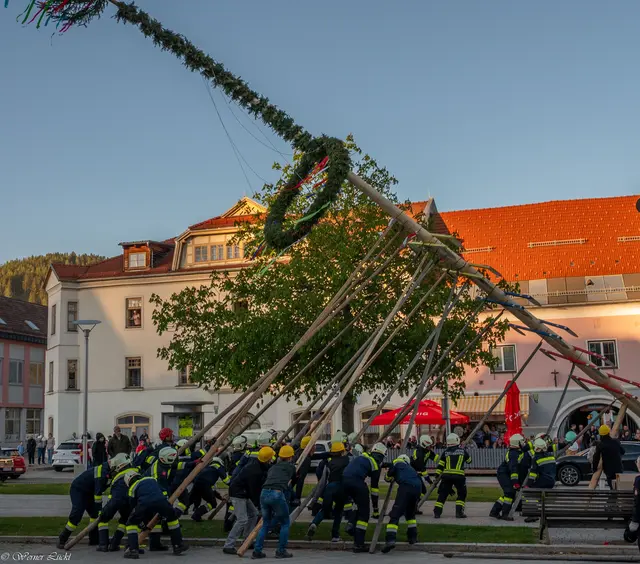 Das Maibaumaufstellen in Neumarkt.