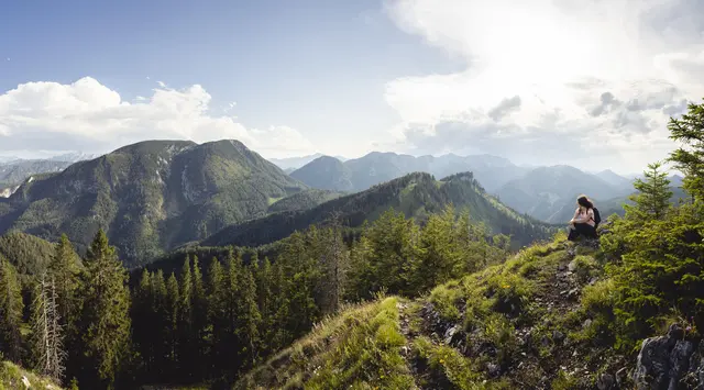 Zum 30-jährigen Jubiläum lädt der Nationalpark Kalkalpen zum Illustrationswettbewerb.  | Foto: Stefan Leitner