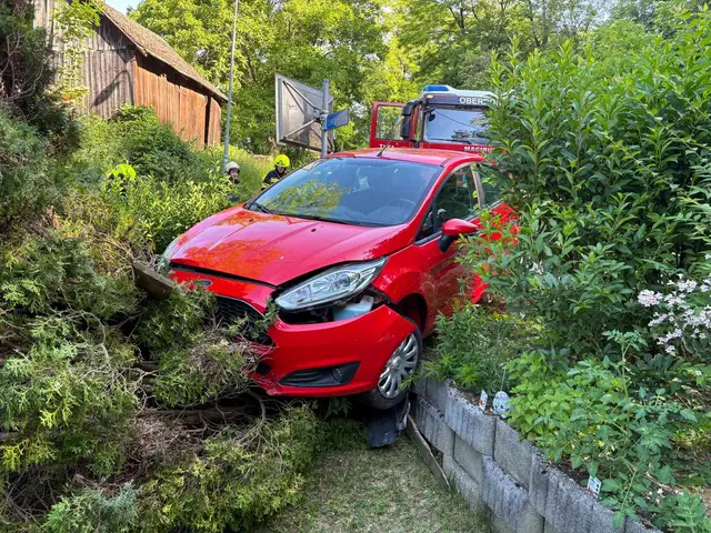 Ein Pkw landete Samstagfrüh in einem Vorgarten. | Foto: Bezirksfeuerwehrkommando Oberwart/Alexander Flaschberger