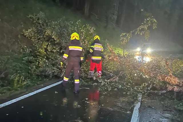 Umgestürzte Bäume auf der Gaberlstraße.