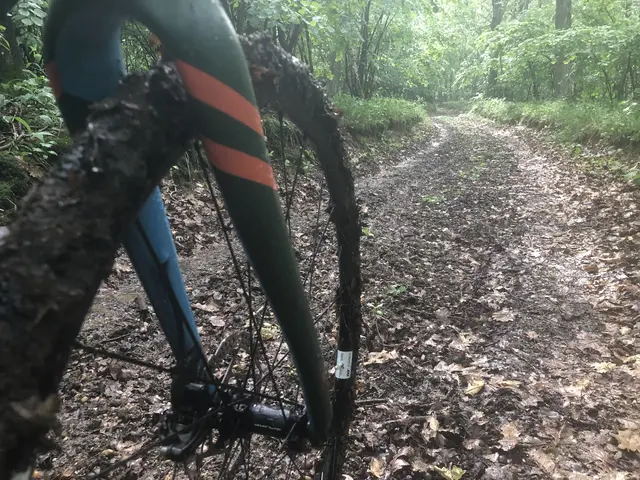 Ab Sommer gibt es die erste Gravelbike-Strecke im Gesäuse. Ein Gravelbike ist eine Symbiose aus Mountainbike und Rennrad. | Foto: MeinBezirk/Rainer Seebacher