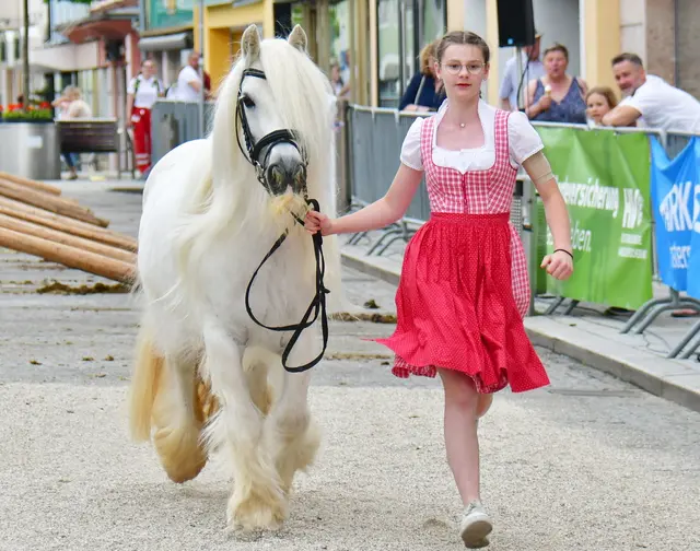 Tinkerpony, eine schneeweiße Schönheit....