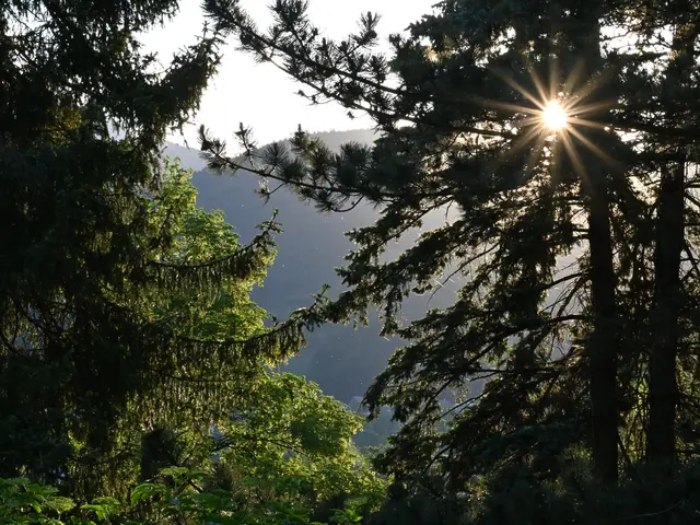Payerbach, Morgenspaziergang