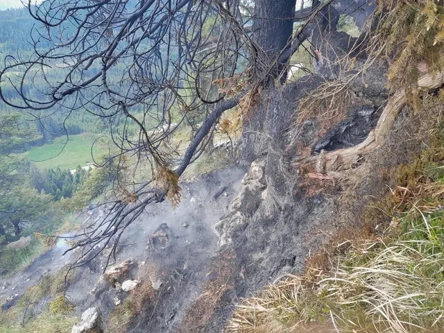 Am Samstagabend mussten mehrere Feuerwehren sowie weitere Einsatzorganisationen zu einem Waldbrand am Tausing ausrücken. | Foto: Ronald Haider