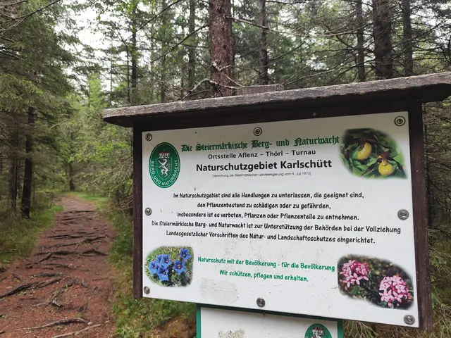 Das Gebiet  Karlschütt steht unter besonderem Natur- und Pflanzenschutz... | Foto: I.Wozonig