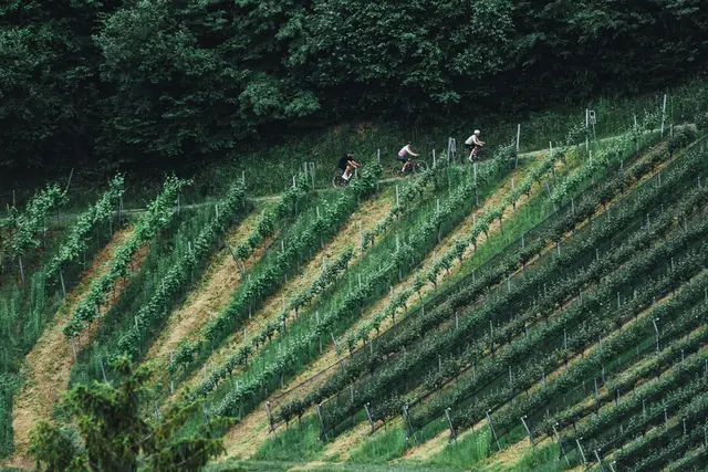 Bei der Gravelei blieb auch genügend Zeit, um die Schönheit der südsteirischen und slowenischen Landschaft zu genießen. | Foto: Max Hofstätter