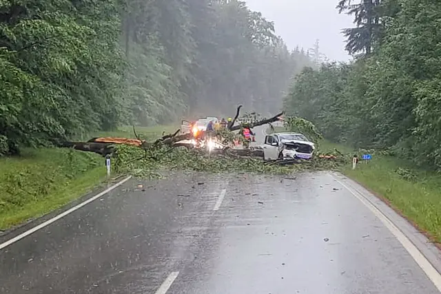 Ein PKW wurde auf der B5 von einem umstürzenden Baum getroffen. | Foto: FF Pfaffenschlag