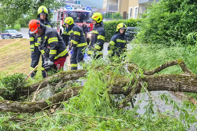 Heftige Böen rissen Bäume um, Feuerwehr im Einsatz