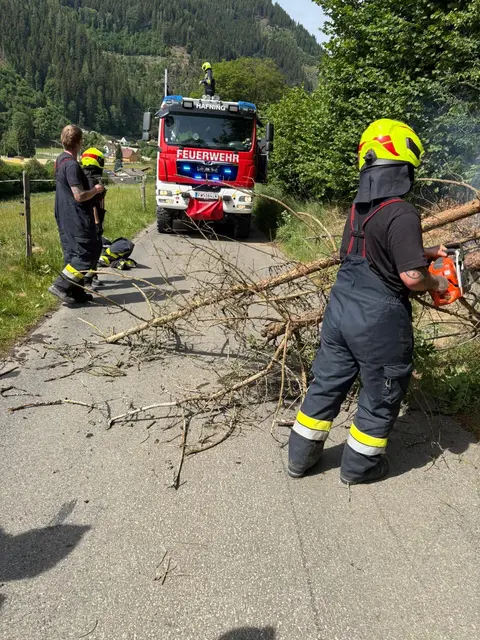 Einsatzkräfte beseitigen umgestürzten Baum