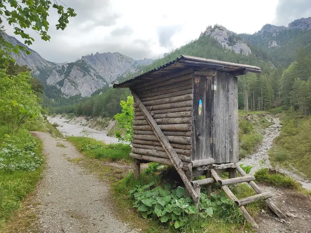 bald führt der Waldweg zum Ufer des leeren Flussbetts... | Foto: I.Wozonig