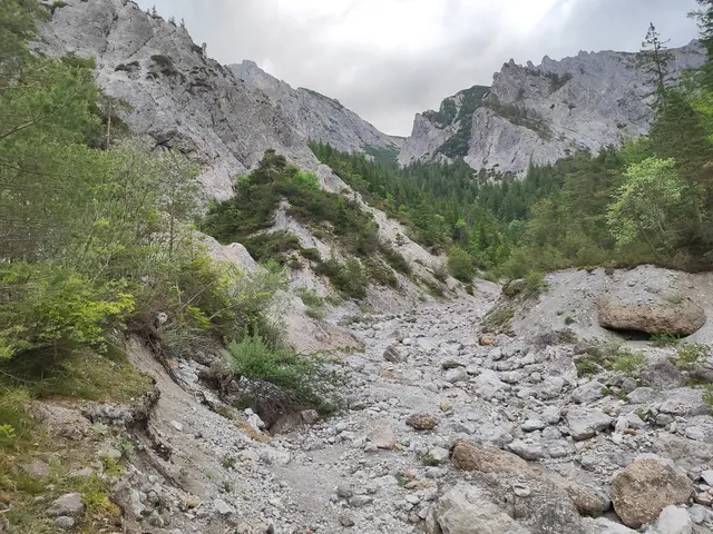 der Blick nach vor... | Foto: I.Wozonig