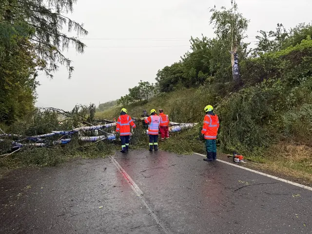 Einsatzkräfte beseitigen umgestürzten Baum von Straße