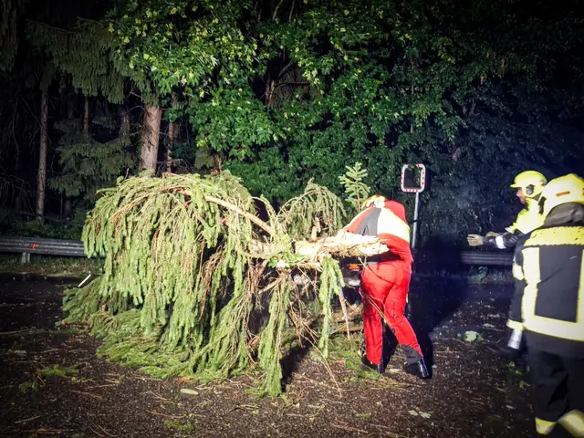 Die Feuerwehrleute mussten die umgestürzten Baumteile zerkleinern und entfernen. | Foto: FF Mooskirchen