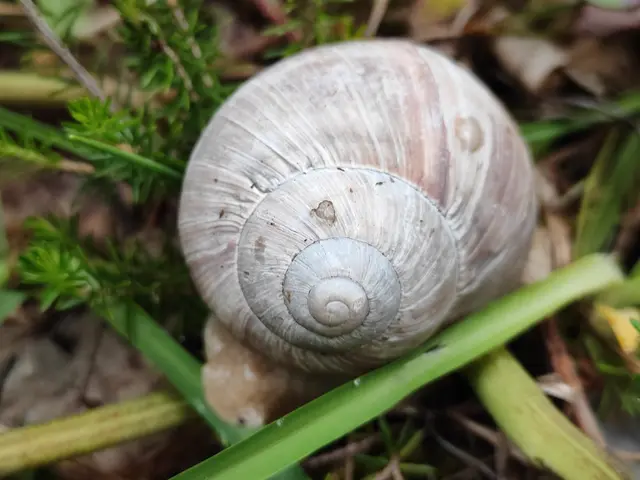 sie macht wohl ein Schläfchen... | Foto: I.Wozonig