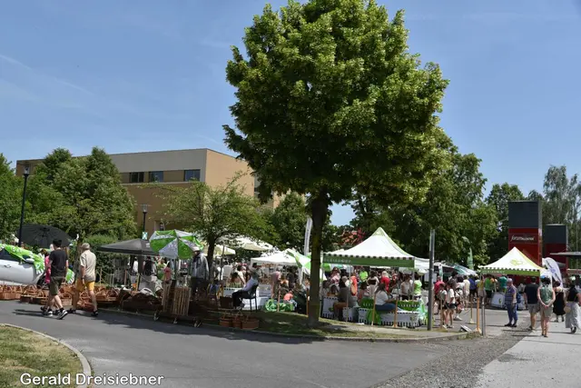 Foto: Gerald Dreisiebner