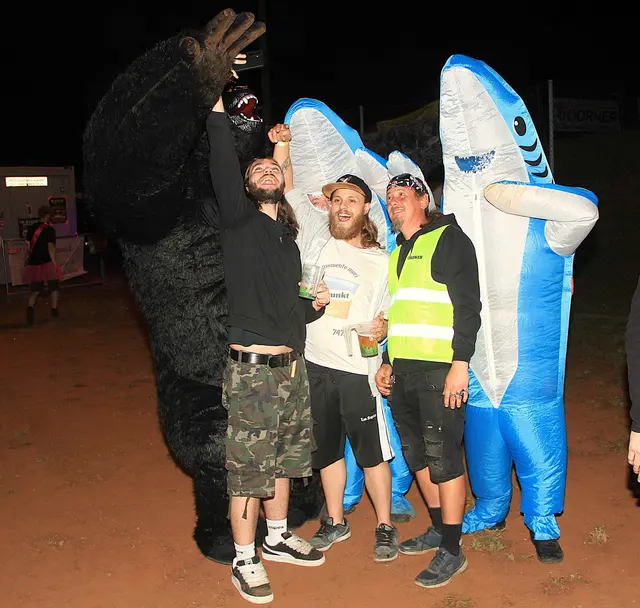 Die Goldfische mengten sich am Abend mit einem Gorilla unter die Fans | Foto: Peter Seper