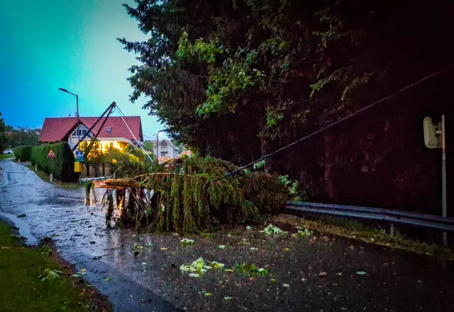 Im Mooskirchner Ortsteil Weinberg krachte ein Baum auf eine Stromleitung und beschädigte sie. | Foto: FF Mooskirchen
