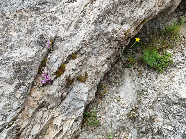 ganz bescheiden... | Foto: I.Wozonig