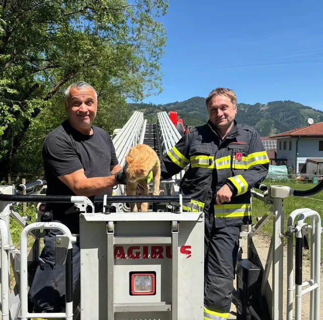 Feuerwehrmänner mit geretteter Katze